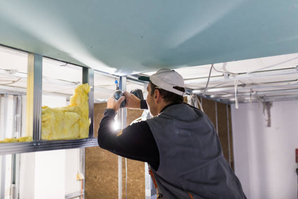 Best Commercial Insulation in Fennimore, WI