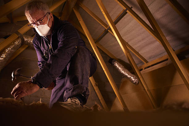 Best Eco-Friendly Insulation in Fennimore, WI